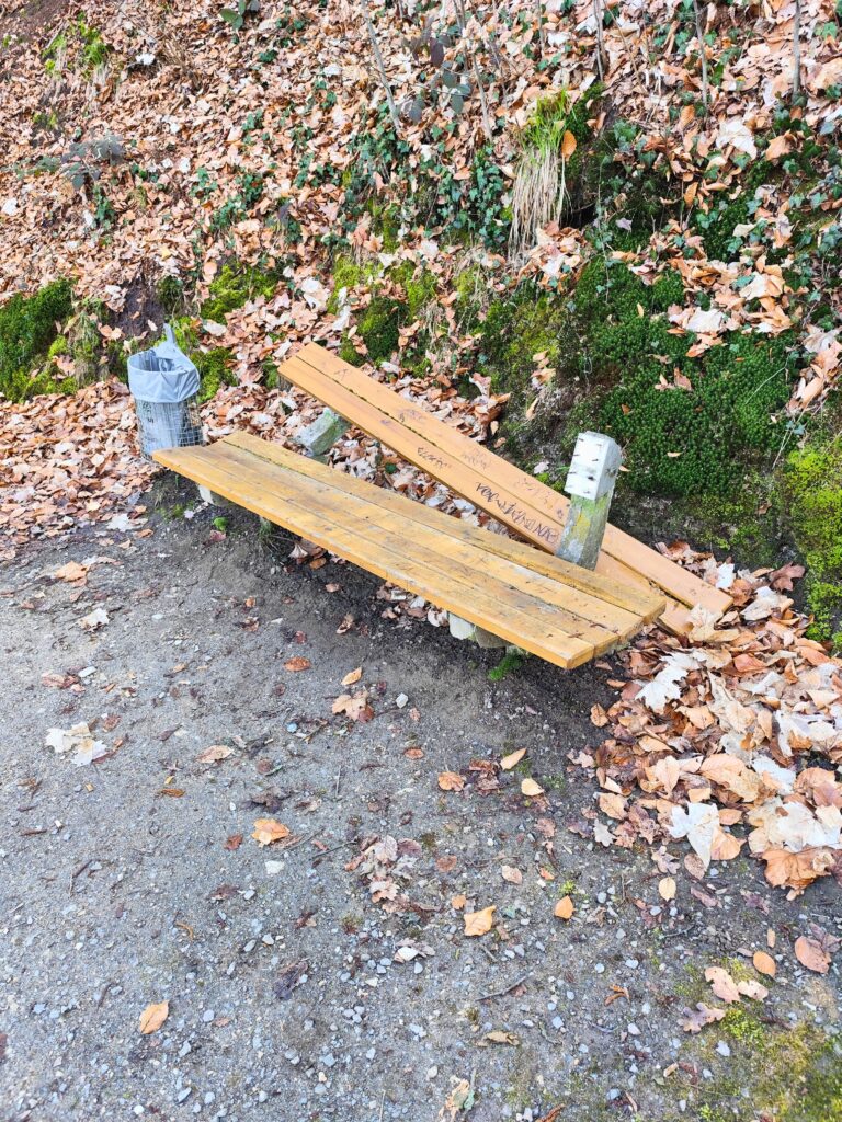 Zerstörte Bank Fronberg_Foto_Michael Übel