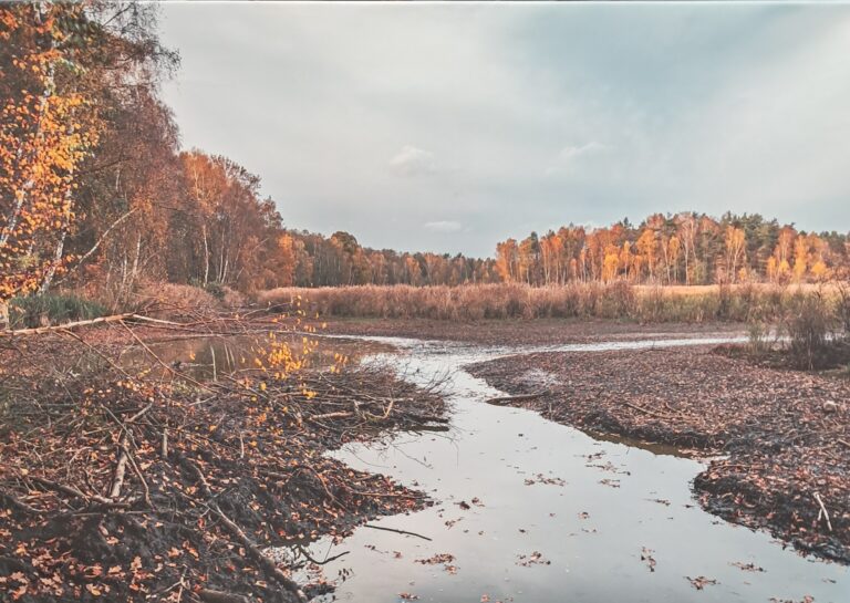 Hirtlohweiher