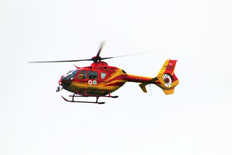 reinhardthrainer-helicopter-6600038
