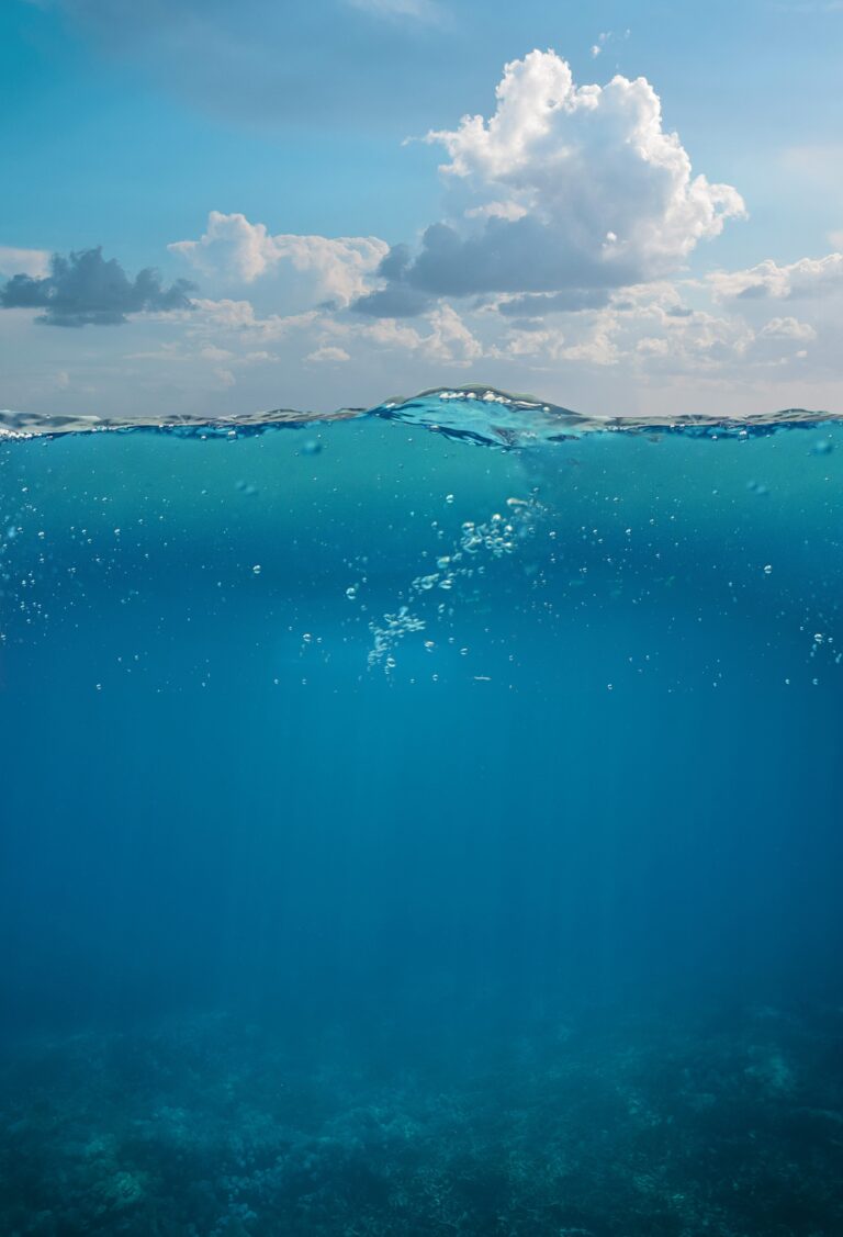 alexandra_koch-underwater-4286600