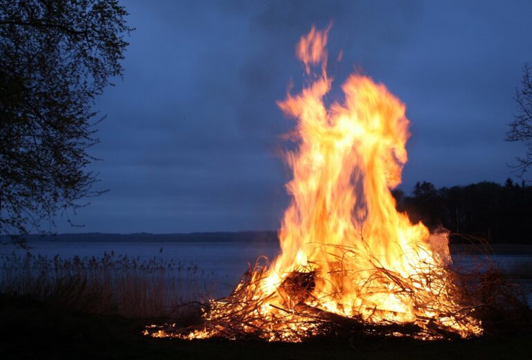 12019-fire-123784_1920
