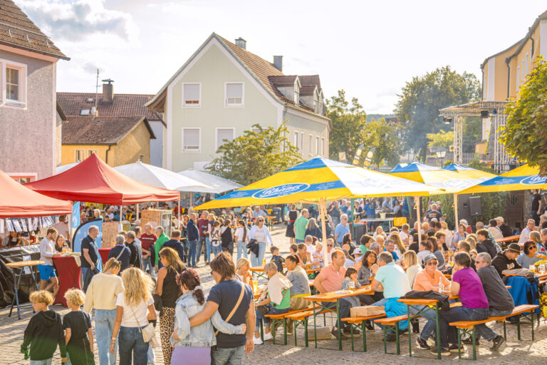 Stadt_Neunburg_Altstadtfest_2025_290