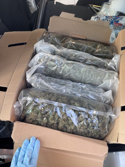 Bild BAO Brennpunkt Cannabis